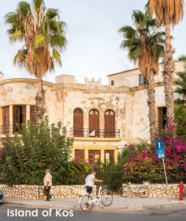 Palms on the Isle of Kos