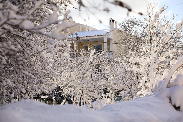 The Garden Of Nea Erythrea, Athens, Greece after snowfall