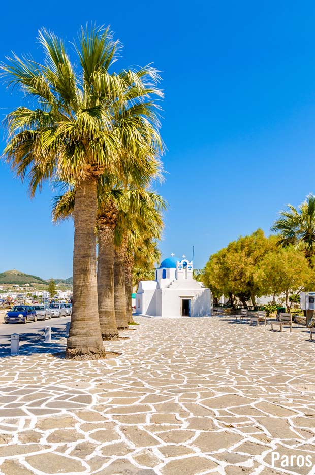 Paros Island Palm Trees
