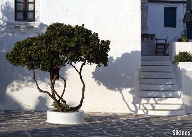White washed house on Sikinos