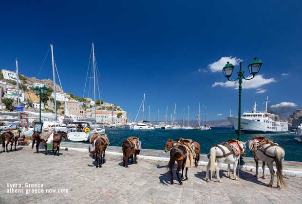 Donkey ridingon Hydra Greece