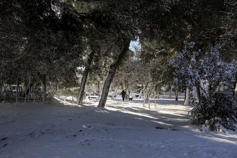 Park in the Snow