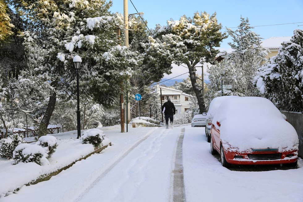 Park in the Snow